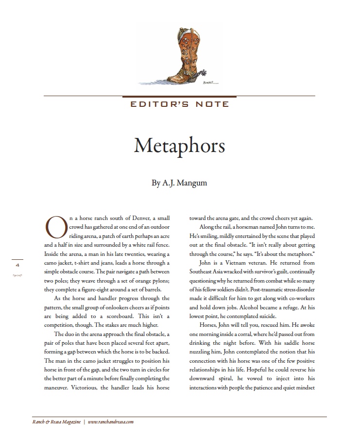 EN Metaphors capture