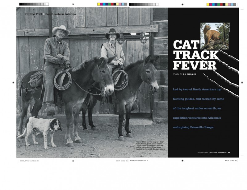 Cat Track spread stitch